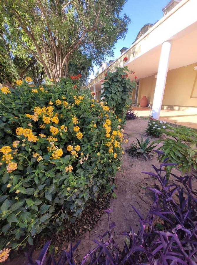 Hotel Portico Norte Tartagal Kültér fotó